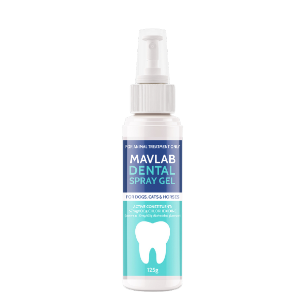 Dental Spray Gel