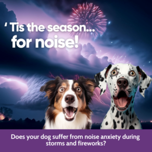 NEW! A MEDICINE FOR THUNDERSTORMS AND OTHER NOISE PHOBIAS.
