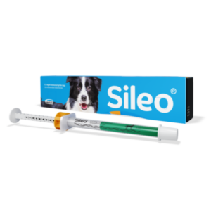 Sileo® 0.1mg/mL Oromucosal Gel For Dogs